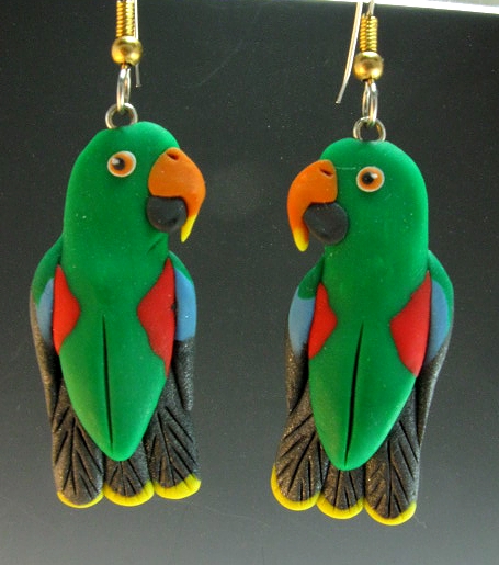 Eclectus Earrings